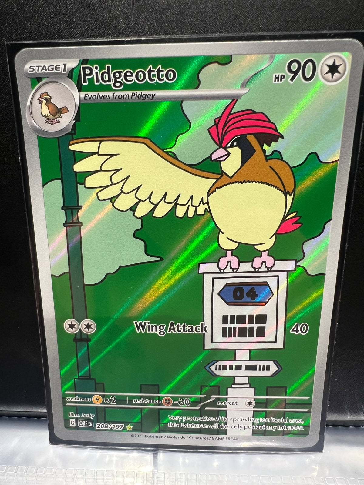 Pidgeotto #208