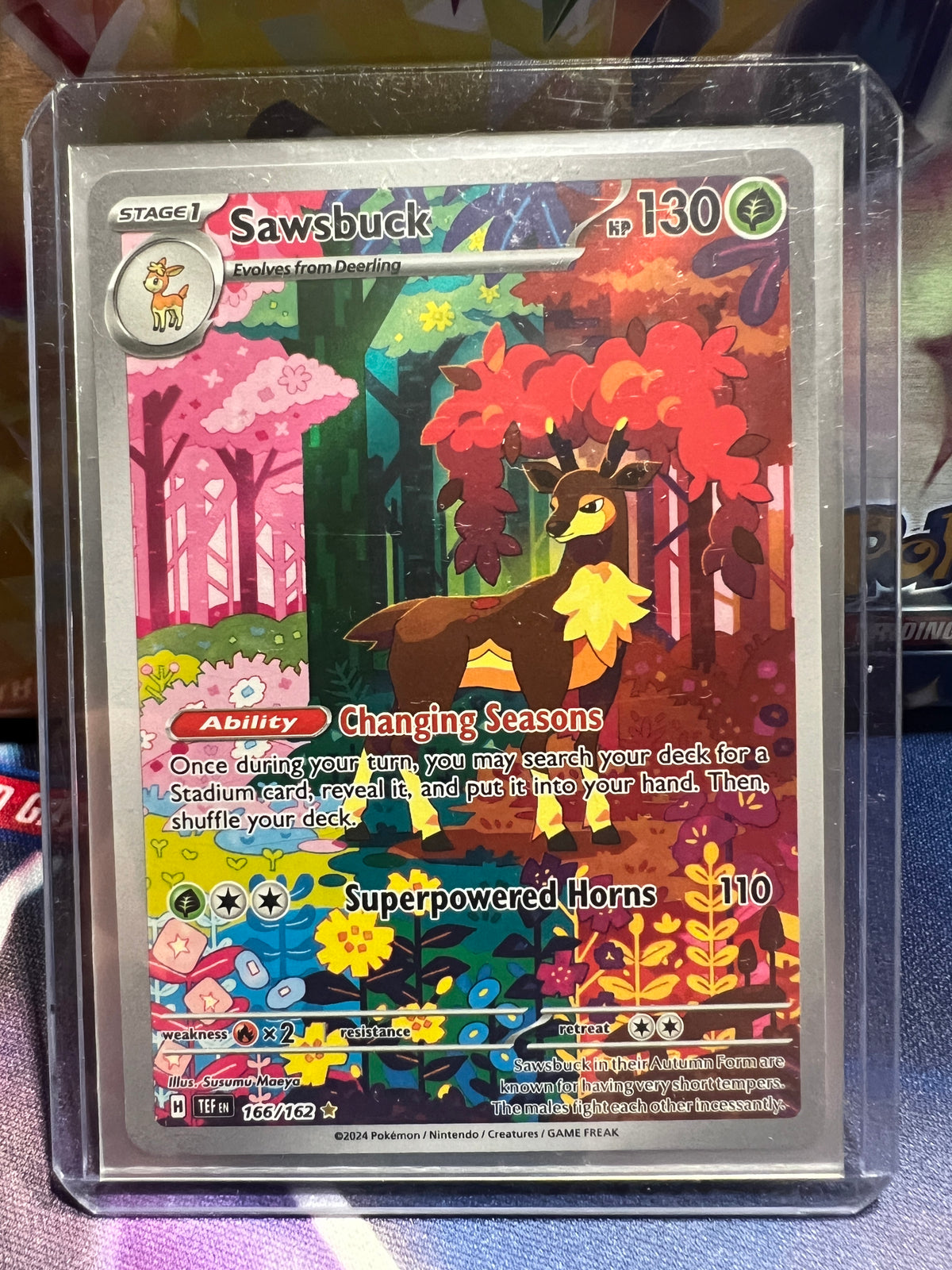 Sawbuck #166